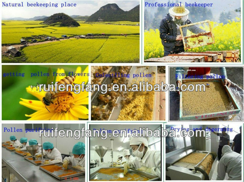 2014 new rape pollen from qinghai