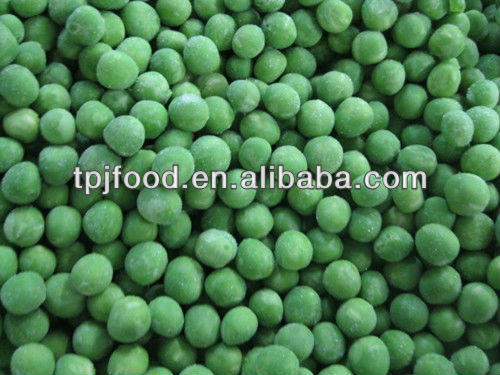 Export to all the world Frozen Green Peas