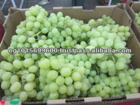 Fresh Grapes ( Superior -Flame -Crimson-Thompson -Red Globe ...)
