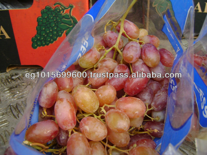 Fresh Grapes ( Superior -Flame -Crimson-Thompson -Red Globe ...)