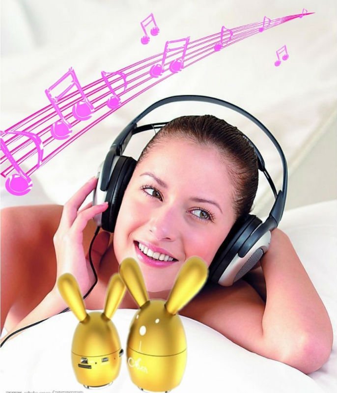リモート・コントロールおよびFMのラジオサポートTFカードが付いている移動式スピーカー問屋・仕入れ・卸・卸売り