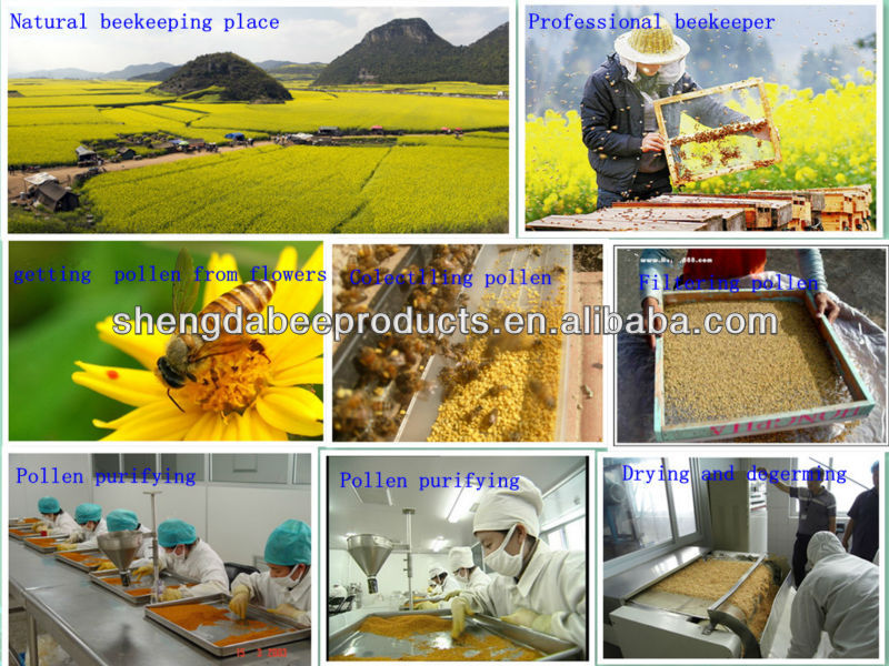 Pop selling mixed color sweet bulk bee pollen