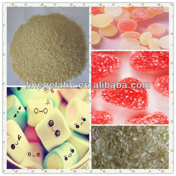 high quality edible gelatin for chewing gum /gelatin 150 bloom
