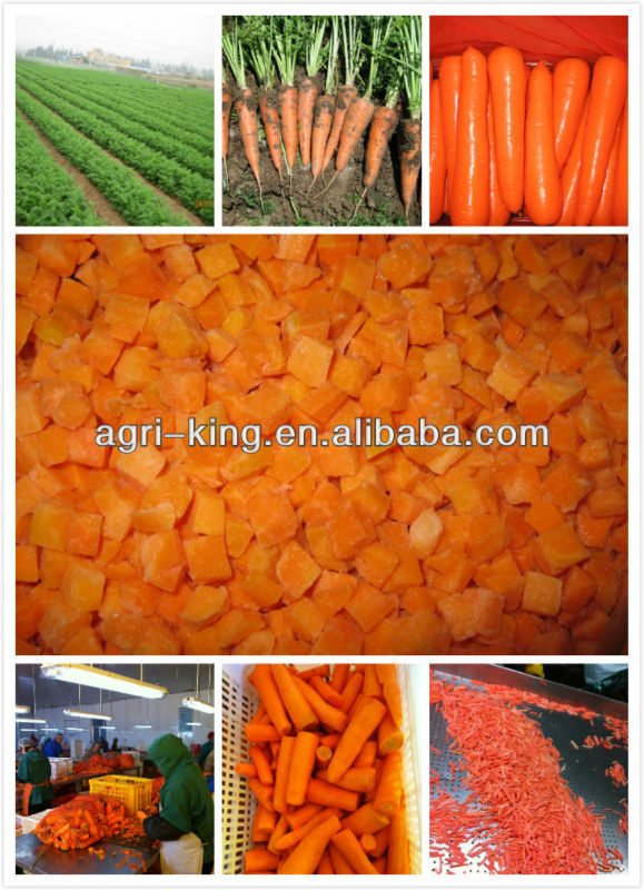 IQF Carrot Names all fruit vegetables