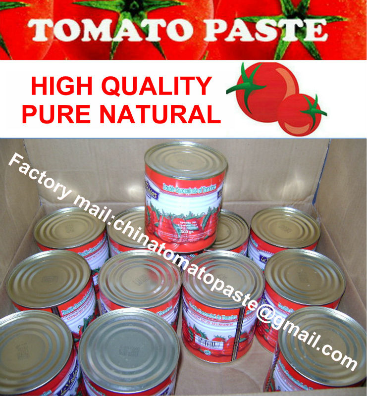 Canned Tomato Paste 800g/tin Normal Open