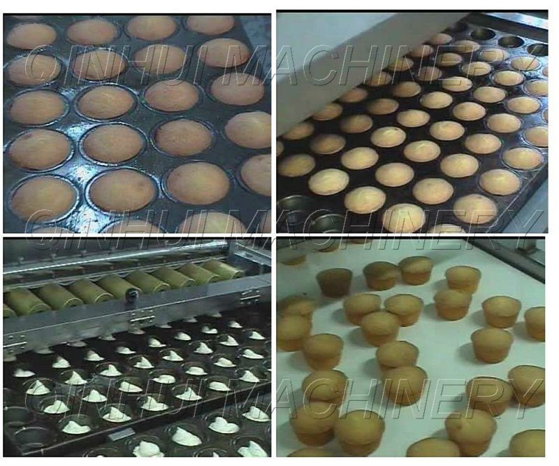 Complete Full Automatic Cake Plant