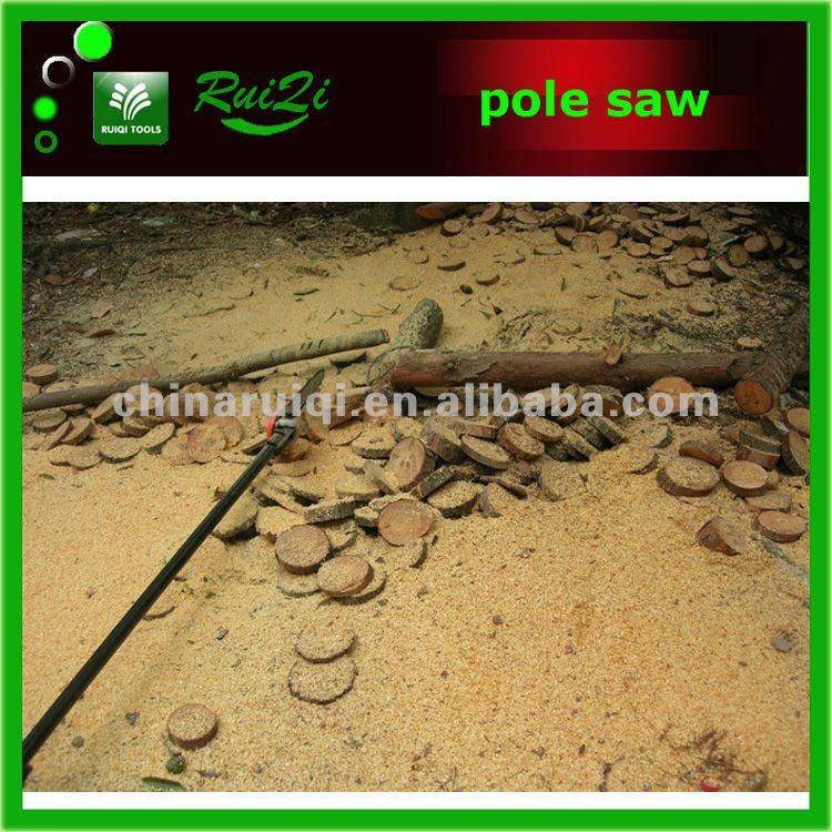 long pole saw2.jpg