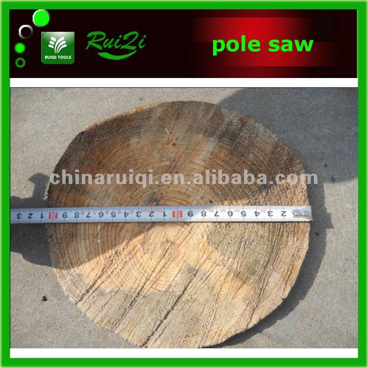 long pole saw7.jpg