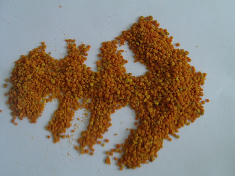 natural fresh pollen containers bee pollen