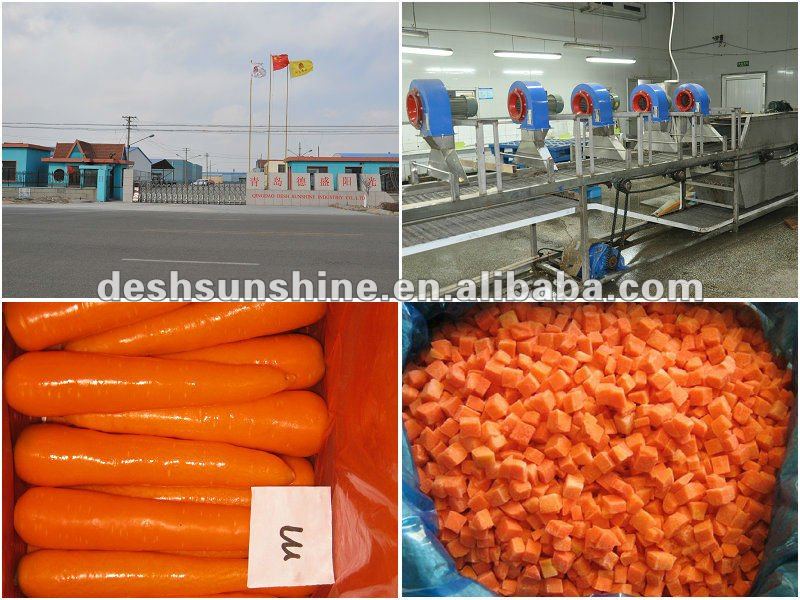 2012 New Crop Grade A fresh vegetables baby carrots(