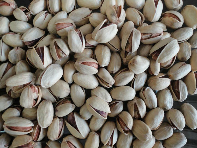 Iranian Pistachio nut