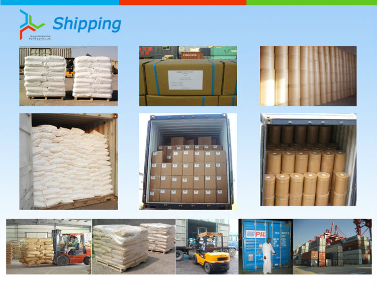 China High Quality Sodium Saccharin