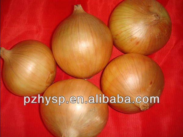fresh red onion price