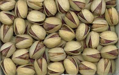 Iranian Pistachio nut