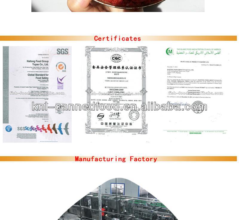 Tomato paste machine for good quality paste 2200gX6tins