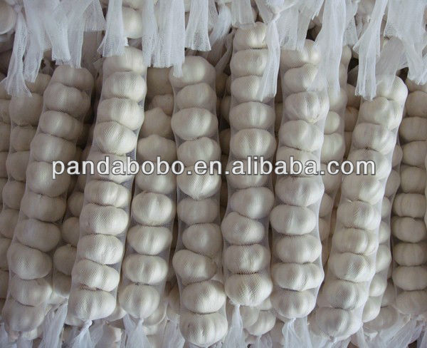 New crop Fresh Carrot for supplier