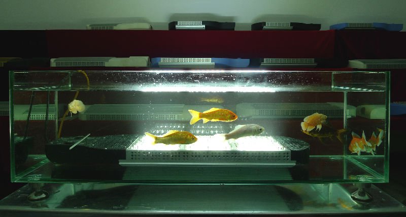 デザインの大型ホット屋外の太陽の光、 ソーラー街路灯、 屋外の太陽光発電ライト仕入れ・メーカー・工場