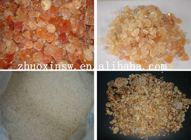 Factory processing arabica acacia Nature arabic chewing gum