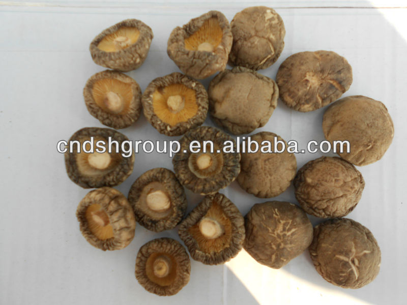 button mushroom can