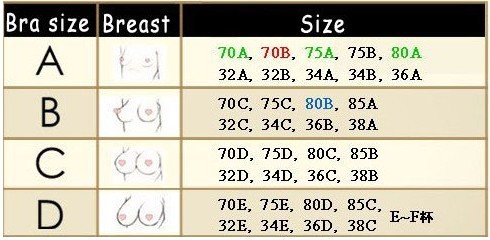 How To Tell Boob Size 48