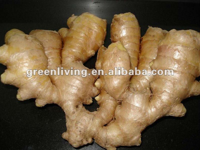 cold storage crisp ginger in china