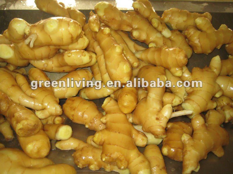 2012 shiny color skin air ginger of China sale now