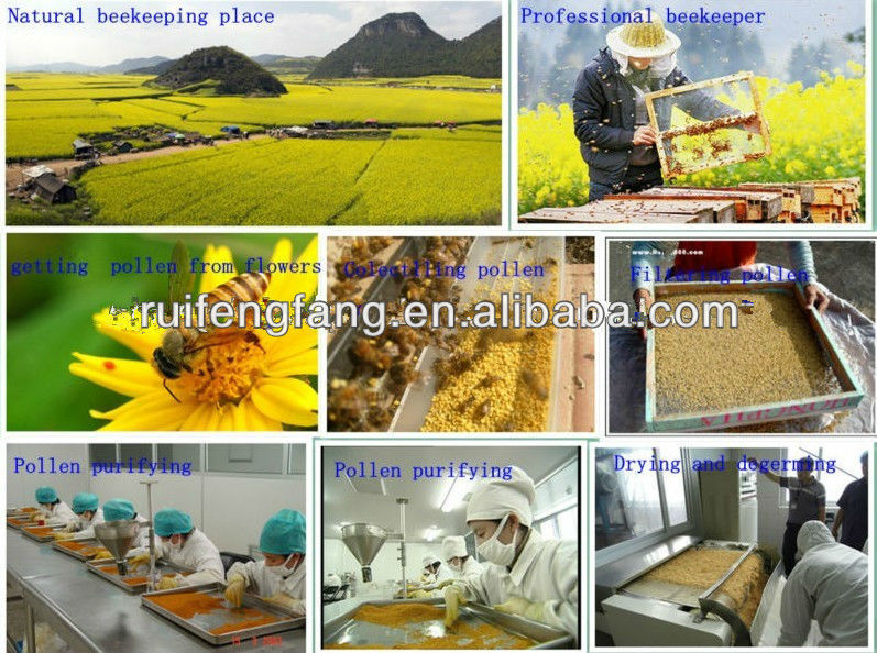 Superior quality white beeswax granules of factory quality