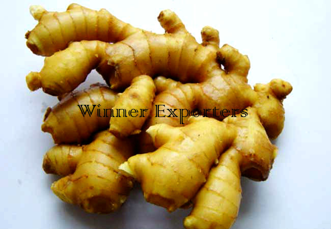 Ginger Exporters