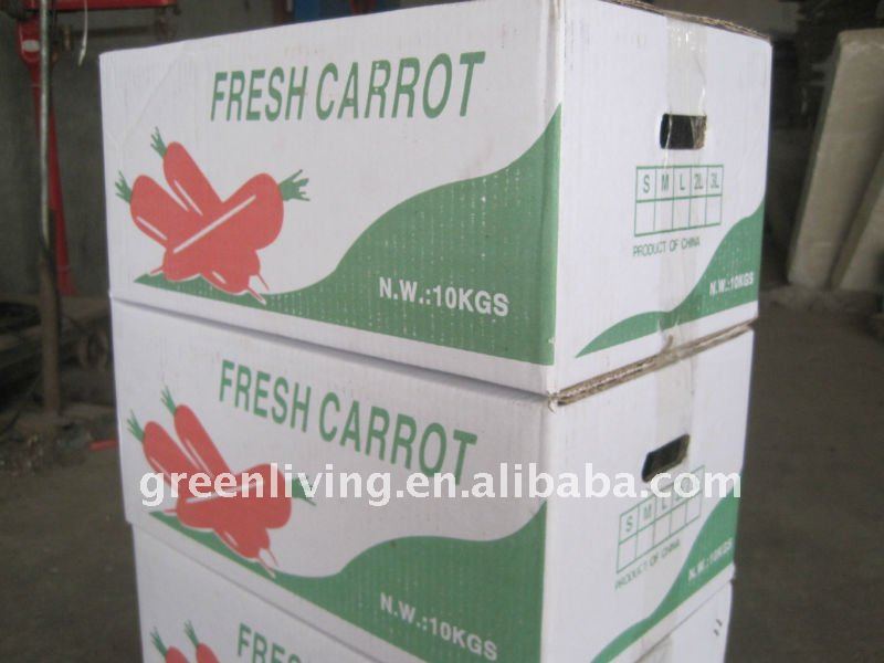 export good carrot , fresh carrot , big carrot , lowest price