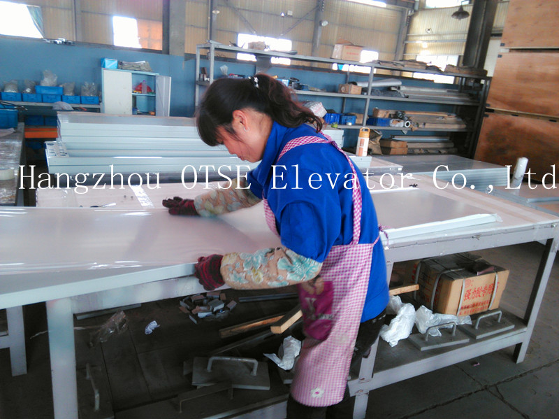 OTSE used screw platform home elevators lift for sale