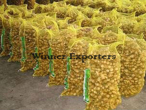 Ginger Exporters