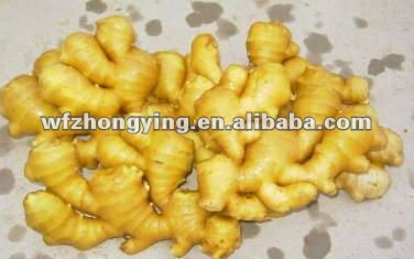 new crop half air dry ginger for sale