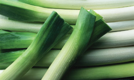 IQF Beveling Scallion Pieces with FDA