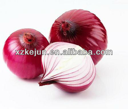 2013 new crop smooth surface red onion
