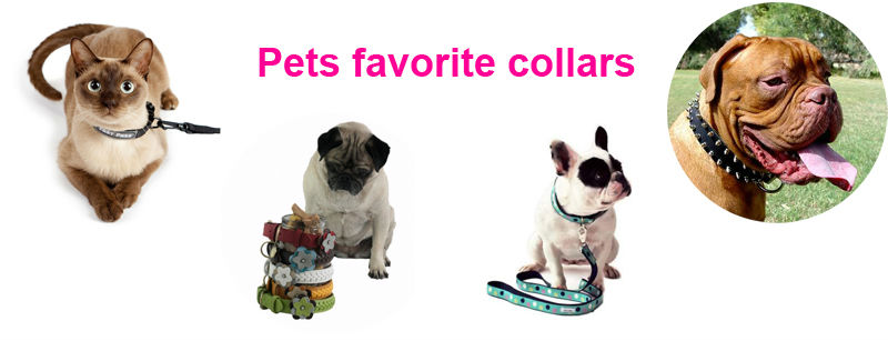 ペットの犬の首輪ファッション製品を安いナイロン犬の首輪問屋・仕入れ・卸・卸売り