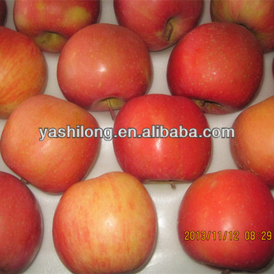 offer red hightest quality of apple fruit with the best price to fruit agents from China