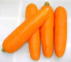 2014 new Crop Frozen Carrot Dice