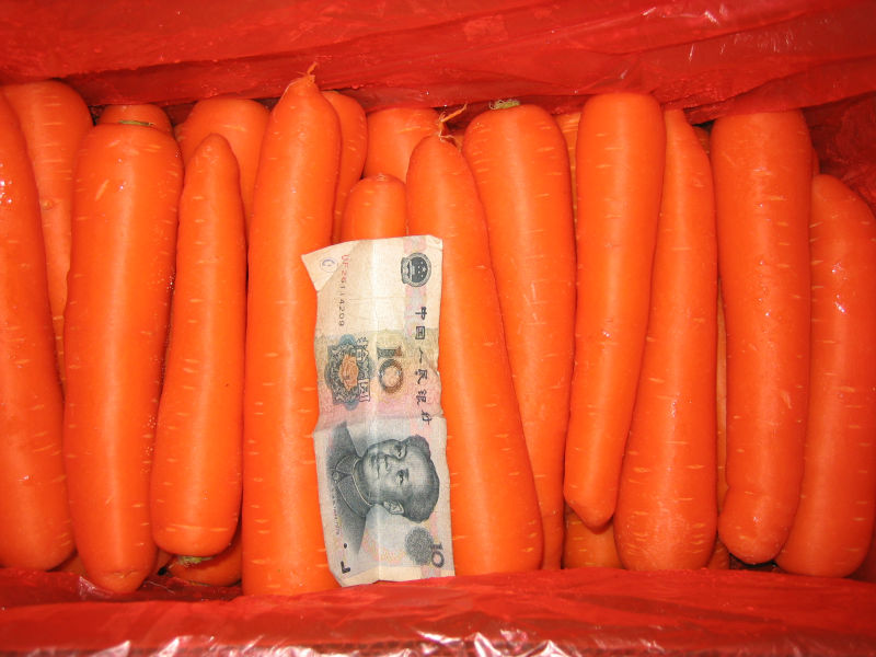 Fresh red carrot new havested in 2013