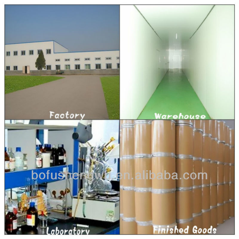 red wine extract/red wine extract powder/Resveratrol