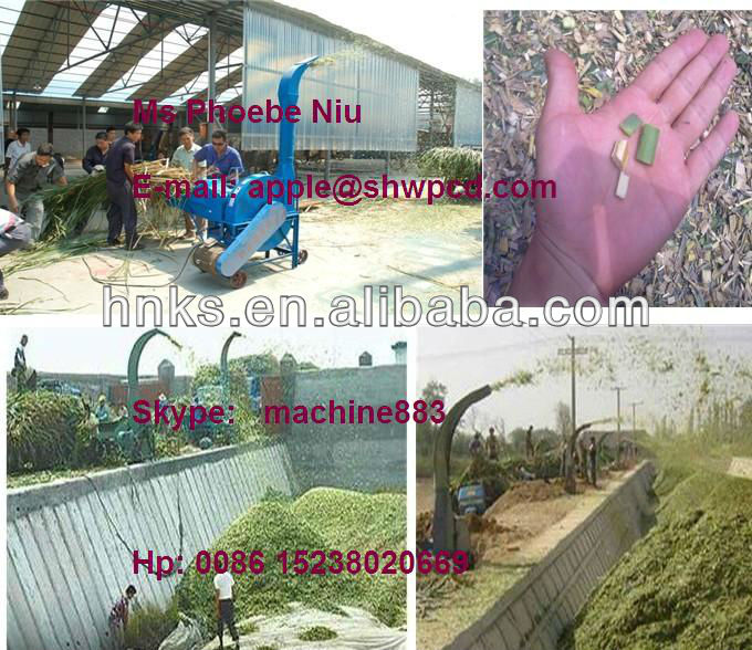 Chaff-Cutter-Hay-Shredder-Wheat-Straw-Shredder 0086 15238020669.jpg