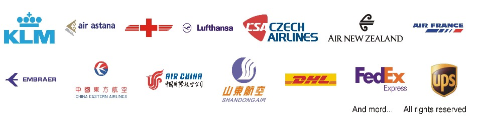 スケール1/100a321atlasjetの航空会社のプラスチックモデルおもちゃ問屋・仕入れ・卸・卸売り