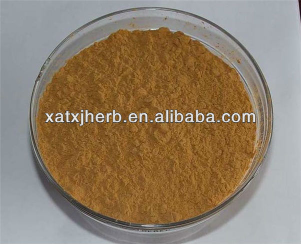 Cortex Cinnamomi Extract (Cinnamon Bark Extract) Powder 8:1 TLC