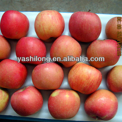 The best quality of frozen fruit in red color and tastes sweet from China