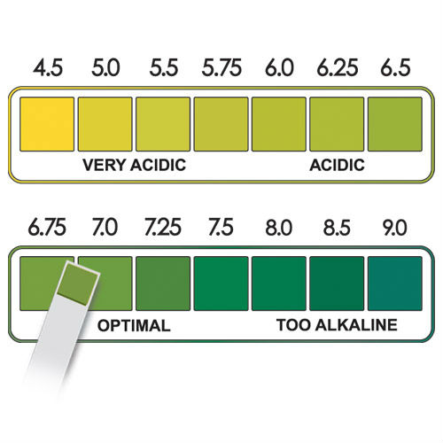 ph color chart