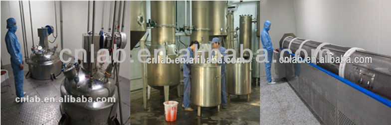High quality powdered green tea healthy green tea