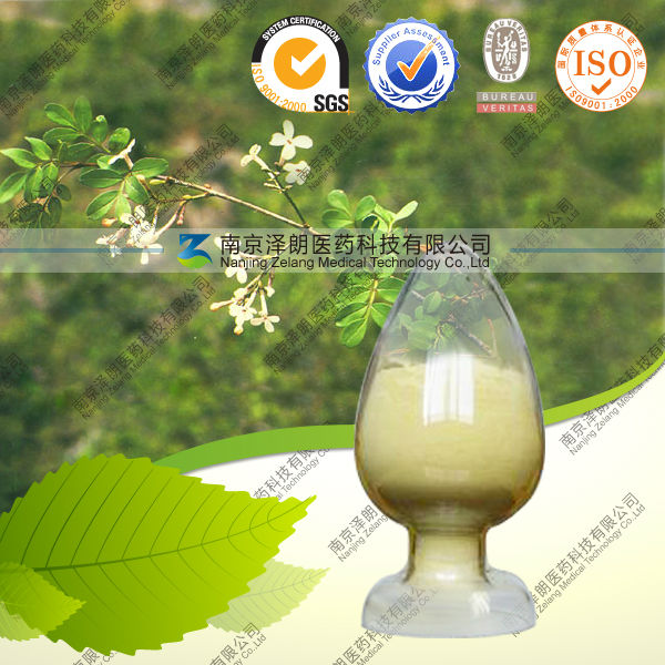 Arachis Plant Extract CAS NO:491-70-3 Luteolin