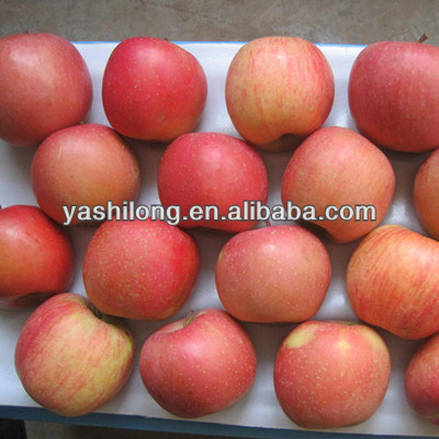names of red fruits is fuji apple and qinguan apple sweet much in the lowest price to all of the world