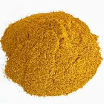 NON-GMO Poultry feed Corn gluten meal