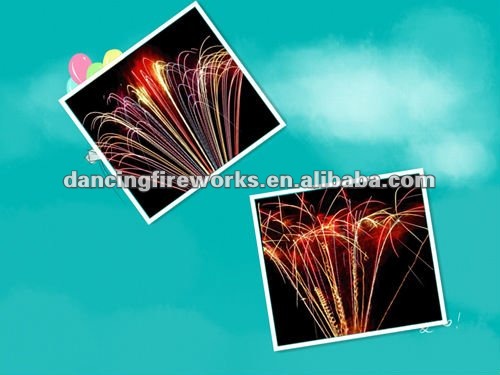 DCC1009-3.jpg