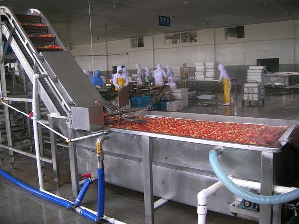 fruit conveyor